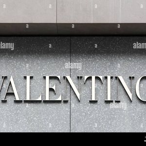 Valentino Gorgeous Chocolate Pants *****